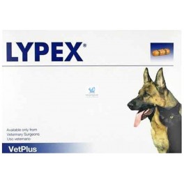 LYPEX 60 Capsulas Enzimas Pancreáticas Complementos para Perros y Gatos
