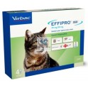 EFFIPRO DUO SPOT ON GATO 4 PIPETAS Antiparasitario Externo