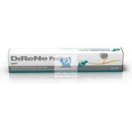 DIRENE PASTA 15 ml Insuficiencia Renal en Perros y Gatos