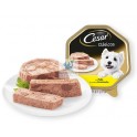 CESAR CLÁSICO PATÉ POLLO 14 TARRINAS 150 g Pienso para Perros