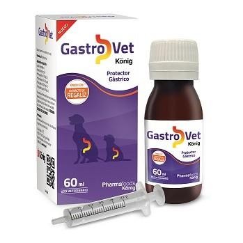 GASTROVET 60 Protector Gastrico en Perros Gatos