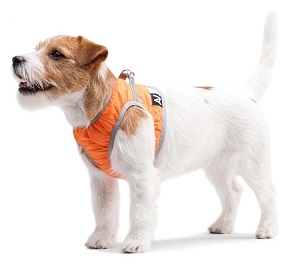 AIRYVEST  ONE NOVEDAD - ARNESES PARA PERROS