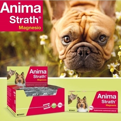 ANIMA STRATH MAGNESIO - FORTIFICANTE 100 % NATURAL, CON MAGNESIO