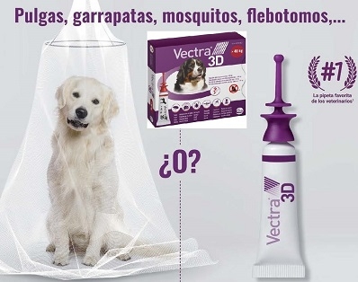 ANTIPARASITARIOS PARA PERROS