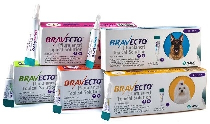 BRAVECTO PERROS EN PIPETAS