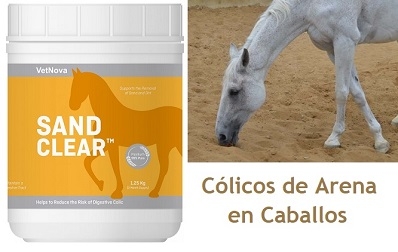 COLICOS EN CABALLOS, PROVOCADOS POR ARENA