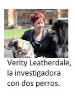 COMPORTAMIENTO Y PESIMISMO DE LOS PERROS