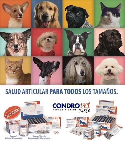 CONDROVET - SALUD ARTICULAR PARA PERROS Y GATOS