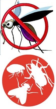 CONTROLAR LOS INSECTOS TODO EL AÑO - ES MAS BARATO