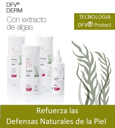 DFV DERM Nueva linea CHAMPUS DE TRATAMIENTO