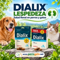 DIALIX LESPEDEZA - NUEVAS PRESENTACIONES