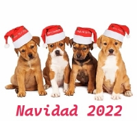 EN NAVIDAD CACHORROS SI, PERO CON TALENTO !!!