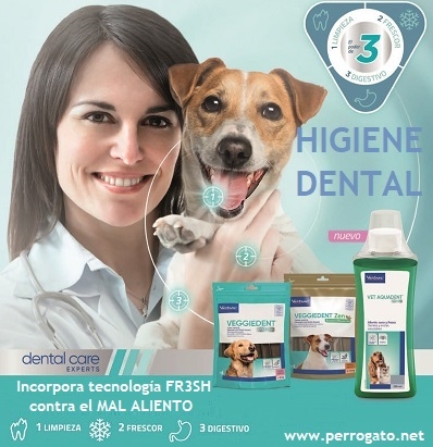 HIGENE DENTAL Y MAL ALIENTO EN PERROS