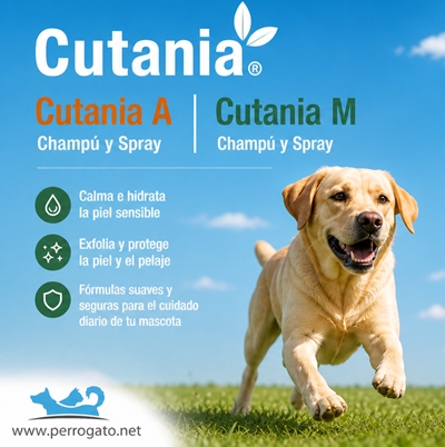 CUTANIA - DERMATOLOGICOS DE VETNOVA
