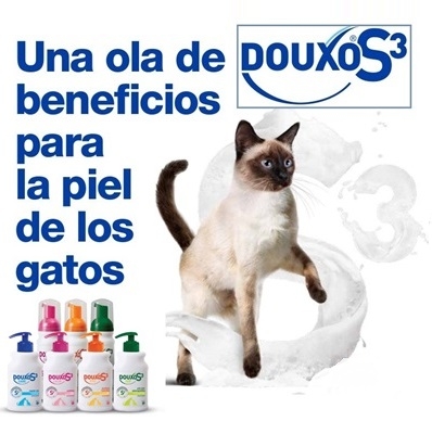 DOUXO EN GATOS