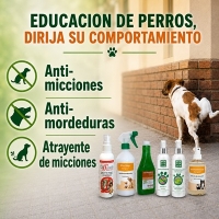 EDUCACION DE PERROS