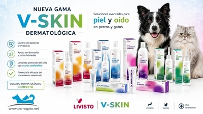 V-SKIN piel y oidos