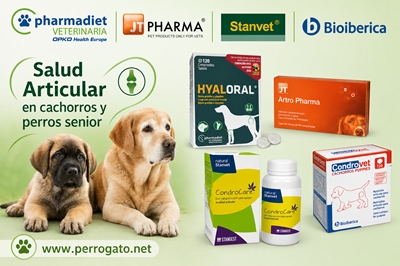 CONDROPROTECTORES PARA PERROS Y GATOS