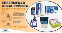 INSUFICIENCIA RENAL EN PERROS Y GATOS