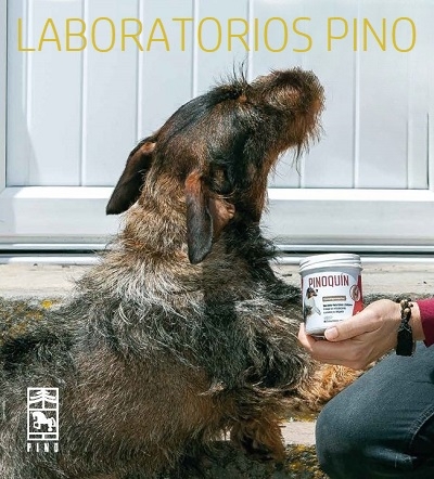 LABORATORIOS PINO - PERROS Y GATOS