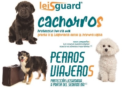 LEISHMANIOSIS, TIEMPO DE PROTEGER SU PERRO