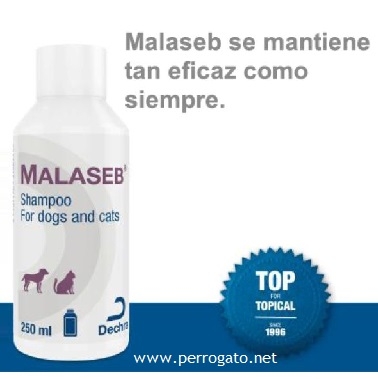 MALASEB ®, DERMATITIS POR MALASSEZIA