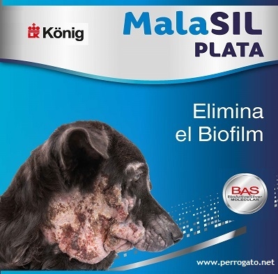 MALASIL - NOVEDAD EN DERMATITIS EN PERROS Y GATOS