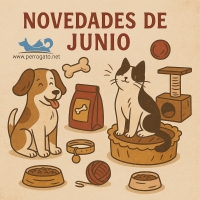 NOVEDADES JUNIO 2025
