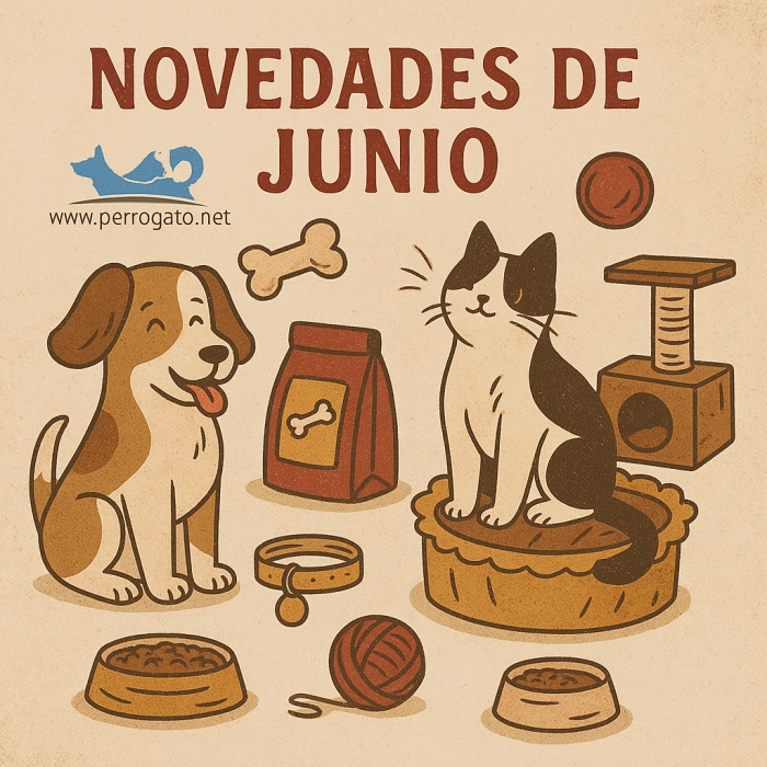 NOVEDADES JUNIO 2025
