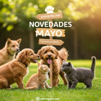 NOVEDADES MAYO 2025