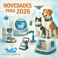 NOVEDADES 2026