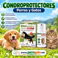 OMNICONDRO - NOVEDADES - Condroprotectores Perros y Gatos