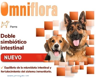 OMNIFLORA    SALUD INTESTINAL EN PERROS