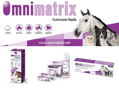 OMNIMATRIX - MEJOR Y MAS RAPIDA CICATRIZACION