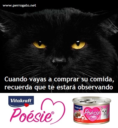 POESIE - VITAKRAFT  - DELICIOSO PARA TU GATO