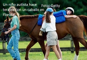 PON UN ANIMAL EN TU VIDA - TODO VENTAJAS