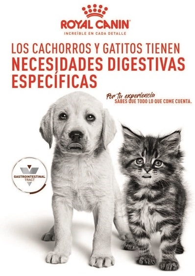 ROYAL CANIN - CACHORROS Y GATITOS