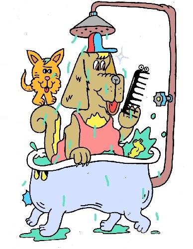 INFECCIONES CUTENEAS EN NUESTRAS MASCOTAS