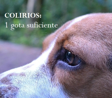 TRATAMIENTOS OCULARES CORRECTOS
