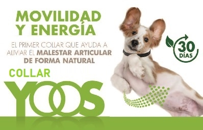 YOOS ® MANEJO DEL DOLOR ARTICULAR EN PERROS